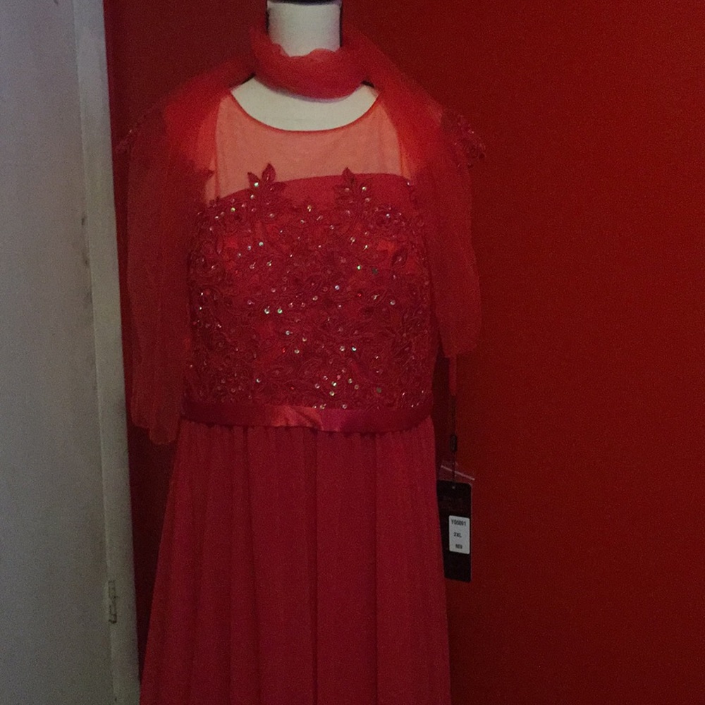 2XL - Picture 6 of 8